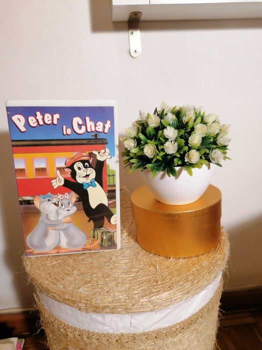 Peter the Cat Video Cassette64740322133250120