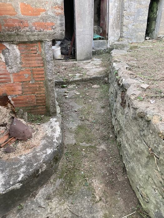 Serviços de jardinagem