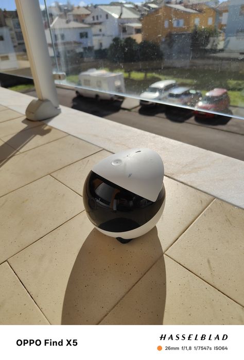 ROLA Mini Companion Robot