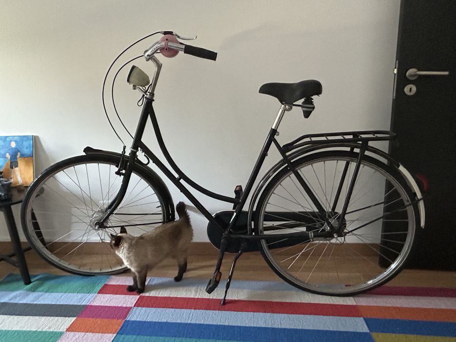Bicicleta de cidade