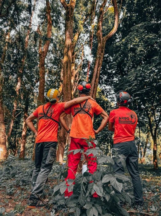 Спил дерев|Зрізання дерев|Корчування пнів|Видалення дерев|Обрізка саду