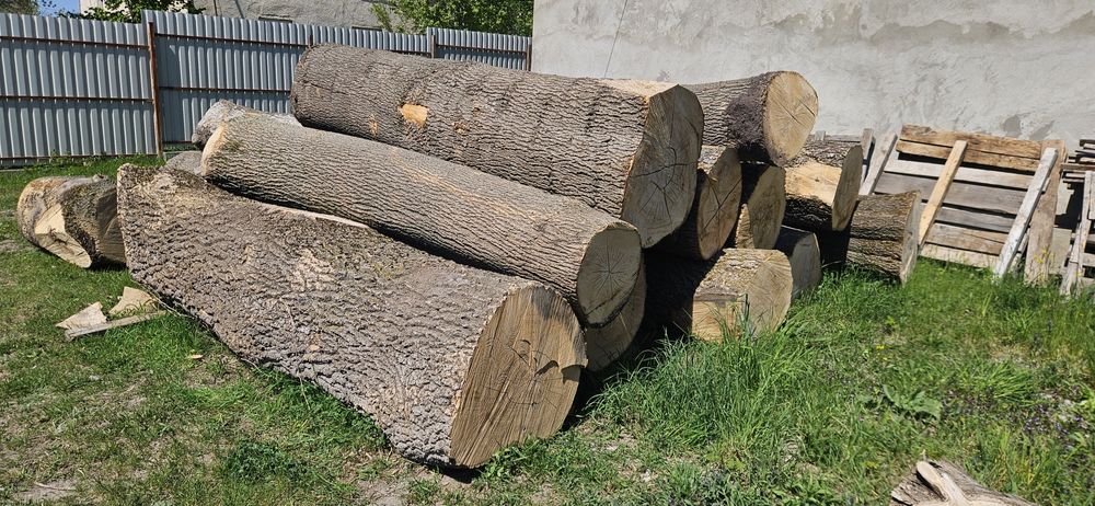 Продам слеби ясень, дошку, або кругляк 310см  діаметр  50-80см