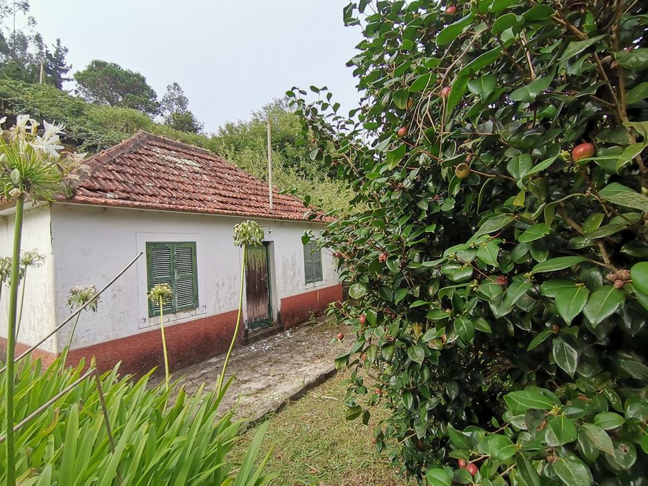 Permuto casa no Santo da Serra, por casa /ruína no Porto Santo  ou Fx