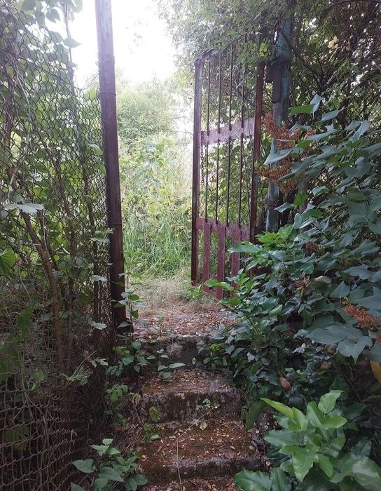 Продам дачу в Солоницевке