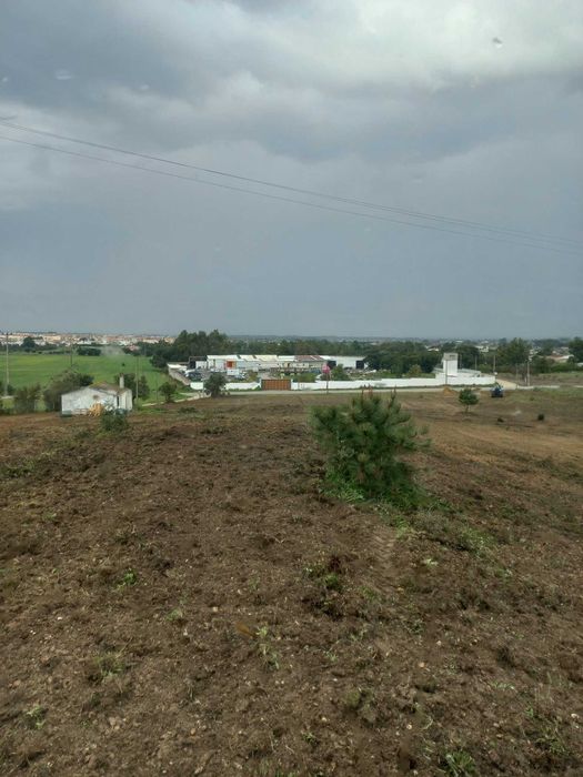 Limpeza de terrenos + Limpeza de fossas + Serviços agrícolas