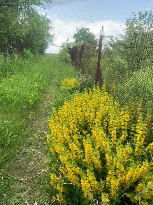 Невеличка,бюджетна дачка. Переоформлення через кооператив.