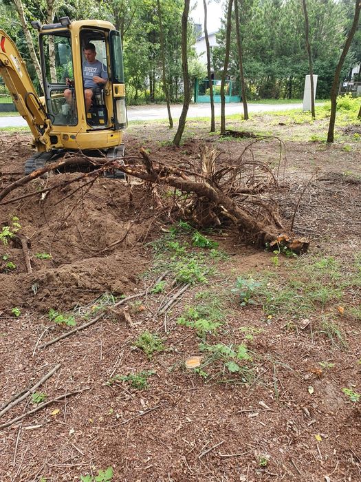 Wycinka pielęgnacja drzew czyszczenie działek karczowanie rębak