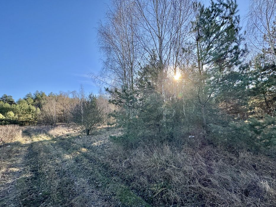 Земельна ділянка 8 Га! Ясногородка!