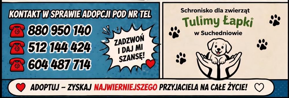 DZIADZIO, niebieskie oczko szuka domku!