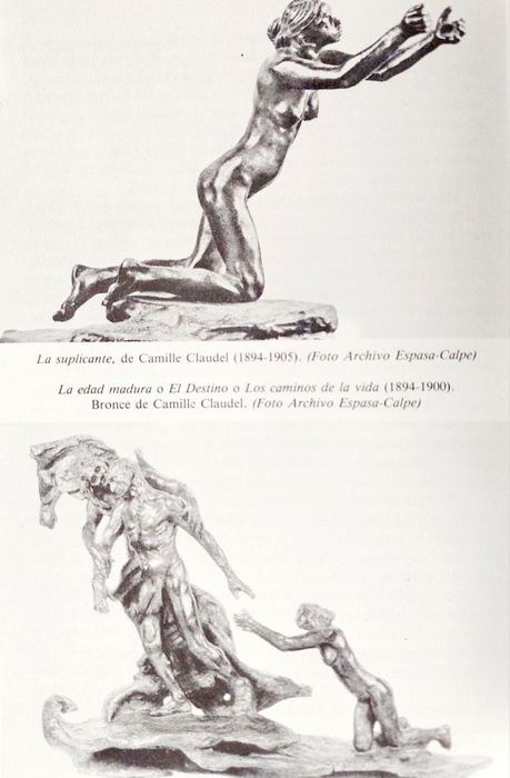 RODIN - Una Vida Apasionada