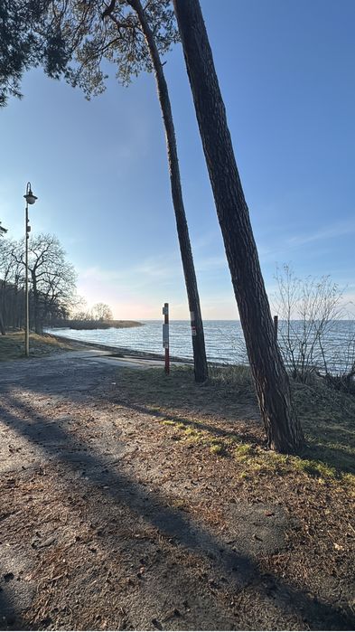 Gospodarstwo Rolne 187 ha