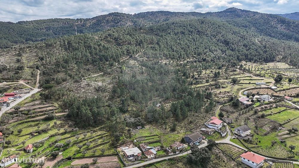 Terreno  para venda