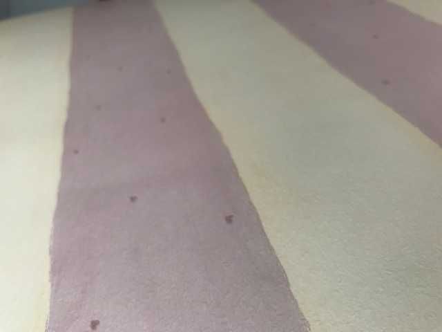 2 rolos de papel de parede64586496015618121