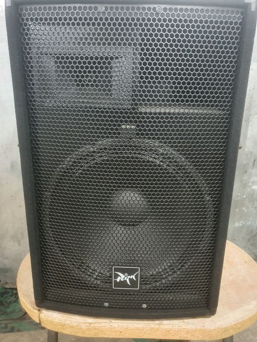 Колонки парк аудіо 15дюймів