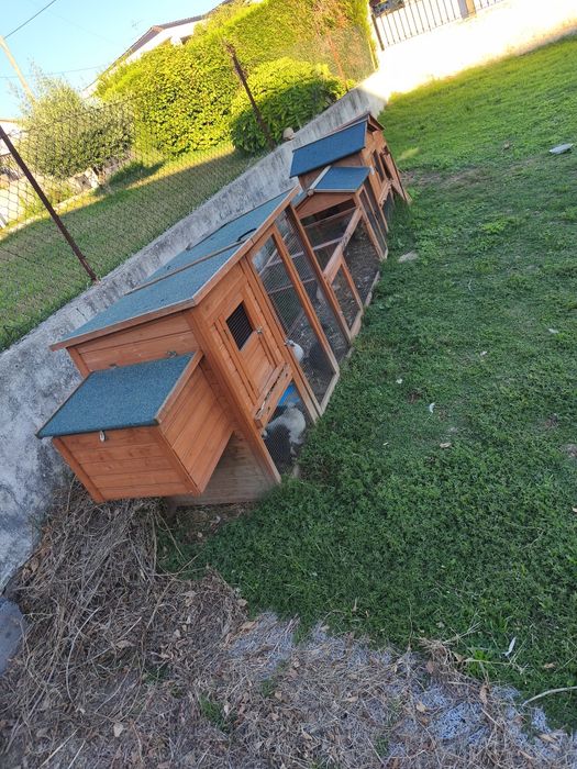 Casa para animais ...