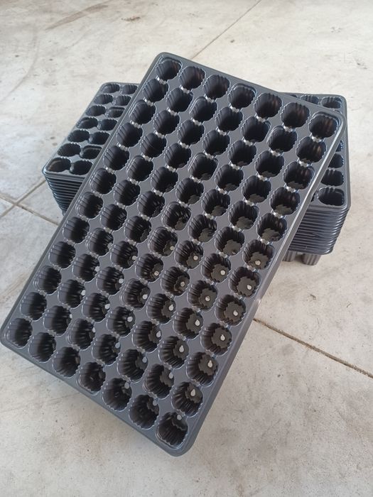 Tabuleiros de 84 alvéolos