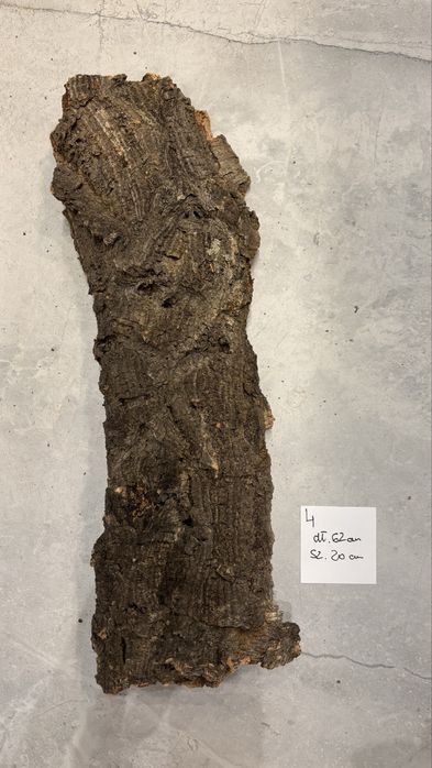 Korek, korek do terrarium, korek terrarystyczny [4]