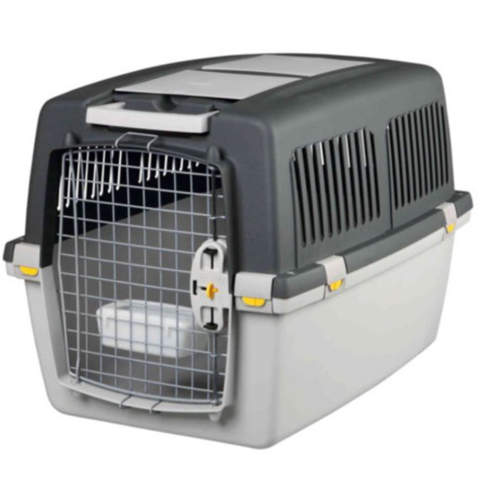 Transportadore cão IATA