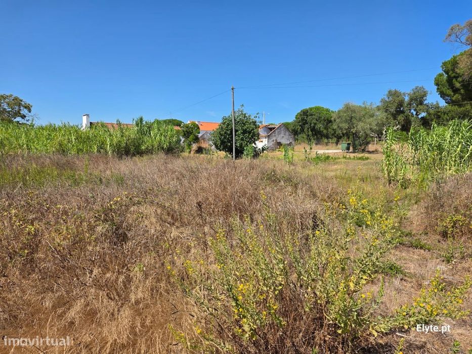 Moradia com terreno Urbano na Branca
