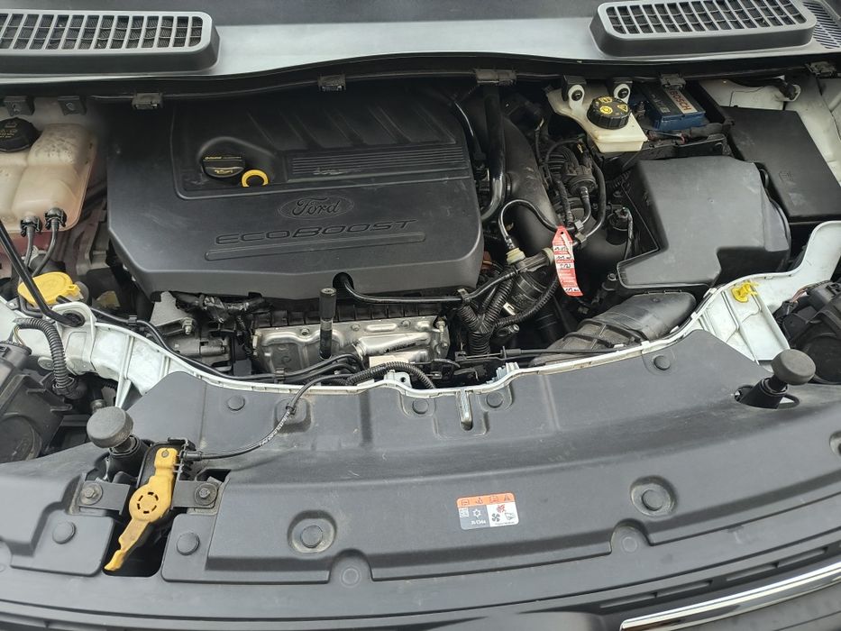 Sprzeda Ford Kuga