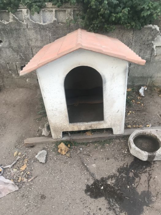 Casota para cao de porte grande como nova