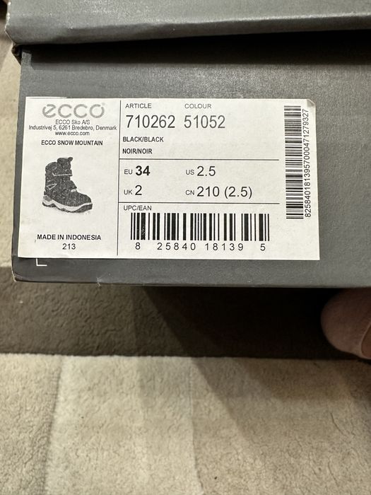 Зимові черевики Ессо Gore Tex р. 34