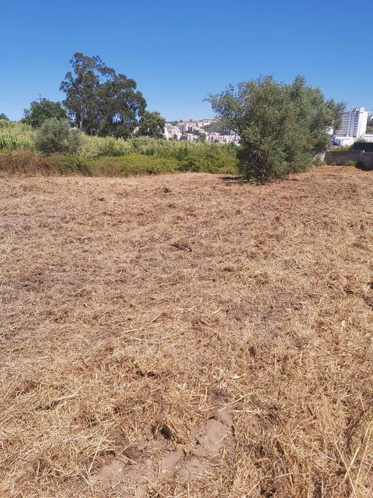 Vendo terreno urbano em Santarém