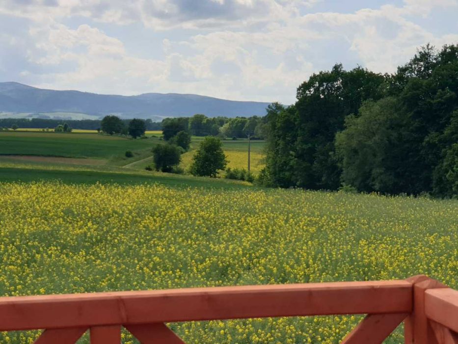 DZIAŁKA budowlana 10ar działka nad jeziorem OTMUCHÓW domek 35m2 TRZEBOSZOWICE