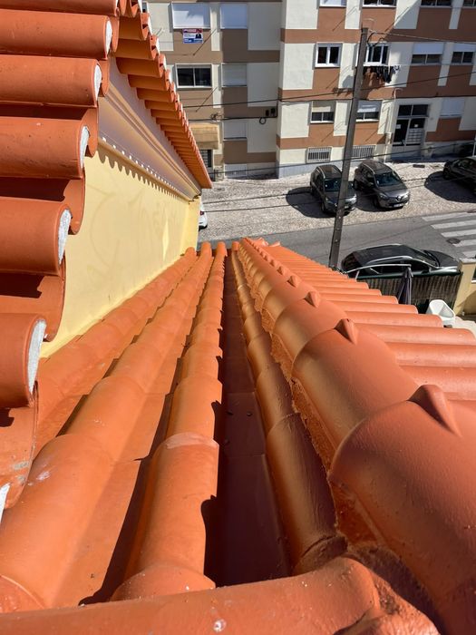 Silva remodelações- limpeza e restauração de telhados  938097447