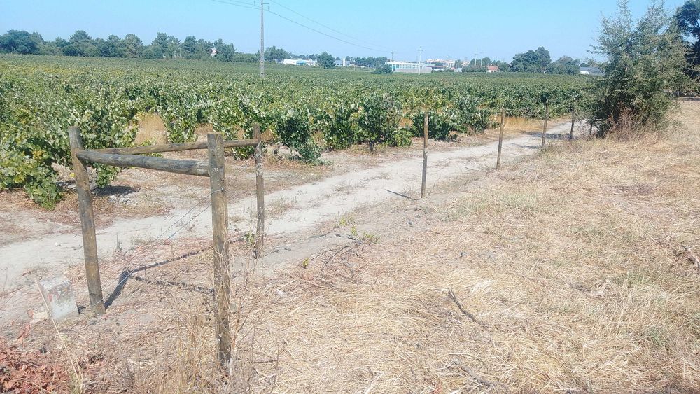 Vedaçao de terrenos
