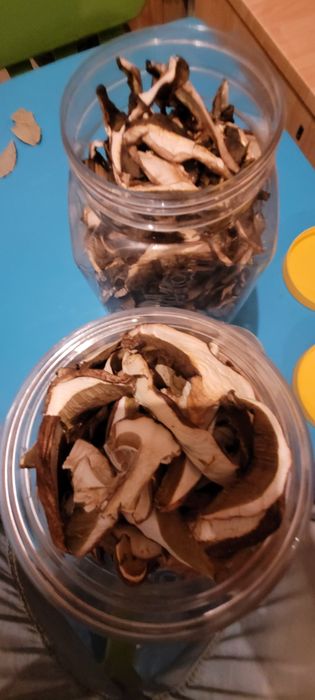 Grzyby suszone 2025r.