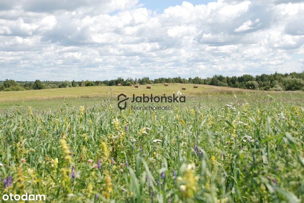 Działka na sprzedaż, Unisław