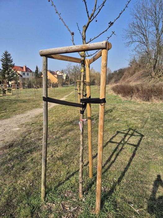 Bale toczone Palisada Drewniana fi10 Wałki Pale Drągi Kołki
