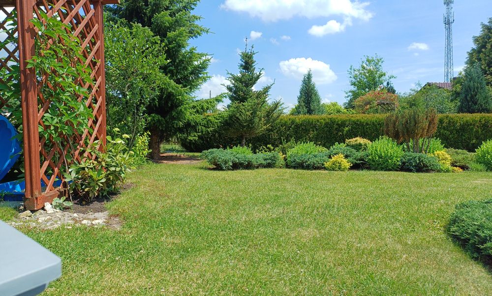 Dzialala rekreacyjna 6 arów