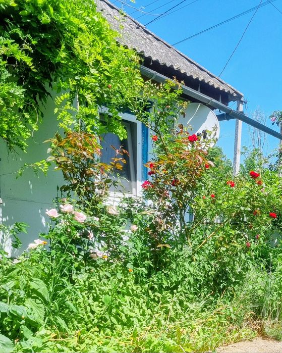 Будинок в селі Глинськ