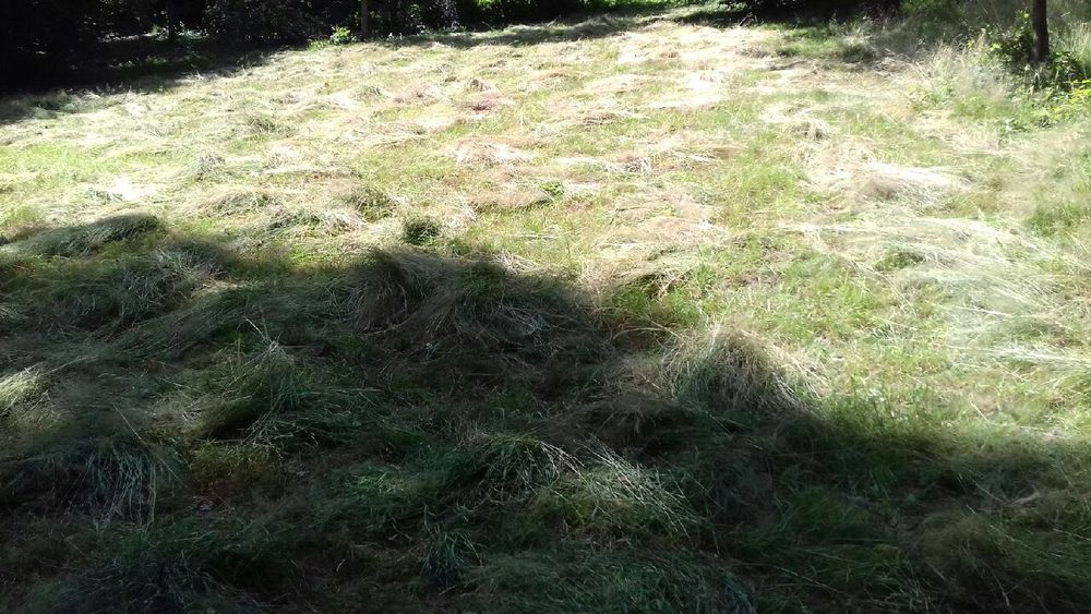 Działka rekreacyjna rolno-lesna własny kawał swiata