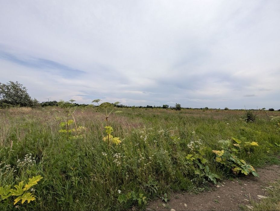 Продаж перспективної  земельної ділянки в Крихівцях,  Горішній Лан