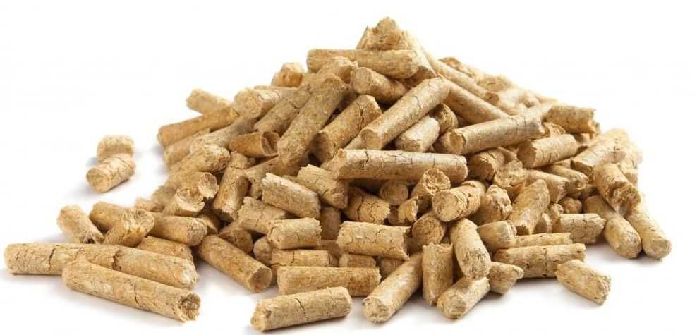 Pellet SYLVA sosnowy Wronki DINplus pelet