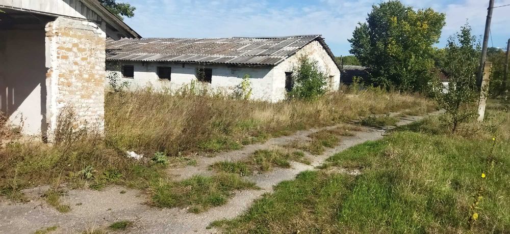 Продам приміщення (раніше свинарники) с.Стадниця, вул.Зарічна 1