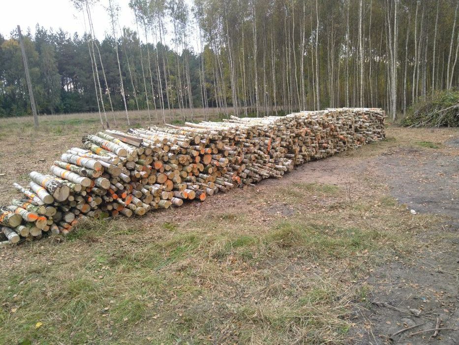 Sprzedam drewno opałowe  (Brzoza )