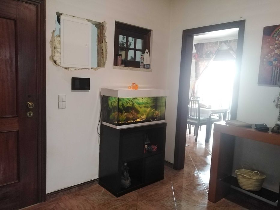 Aquario grande com ascesorios