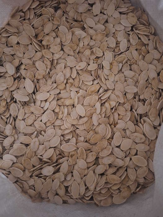 Pestki Dyni w Łupinie Odwiane/ Ziarka z Dyni do Łuskania