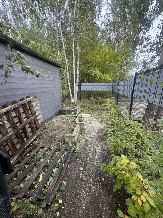 Wycinka drzew, usługi arborystyczne