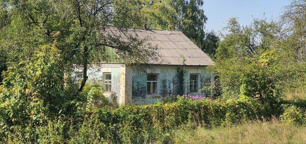 Цегляний будинок біля лісу та озер