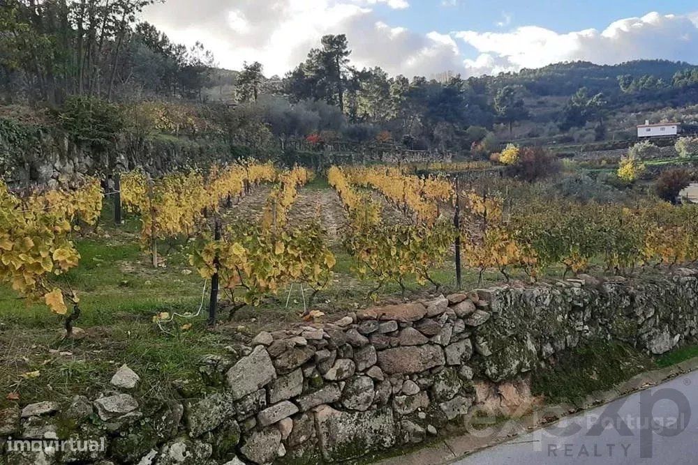 Terreno para Venda em Pegarinhos, Portugal: 4800 m² — Pegarinhos, Vila Real