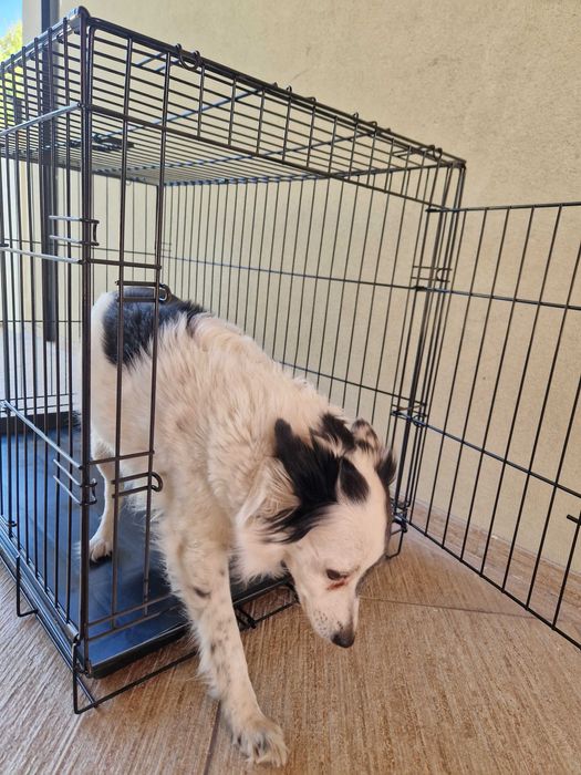 Jaula metálica Artero