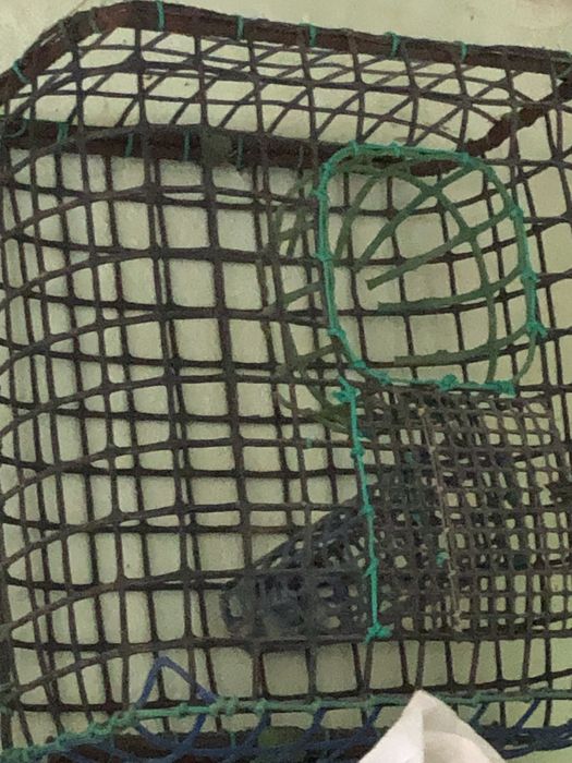 Crab Traps64284335066370122