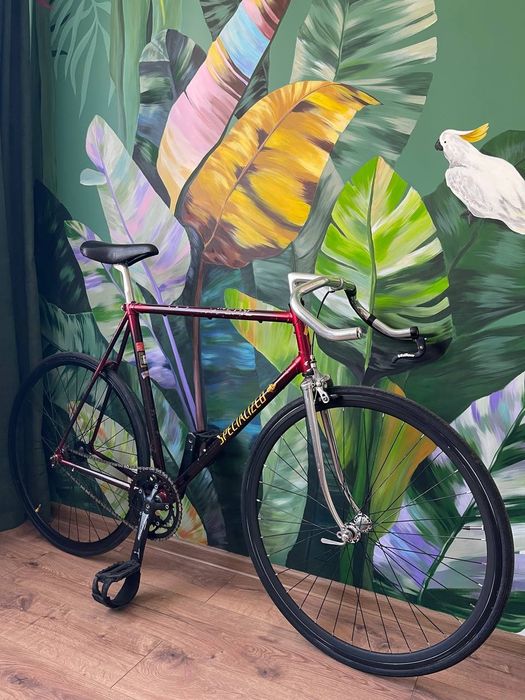 Продам карбоновий велосипед Specialized Epic carbon 1994 Single Speed Fixed