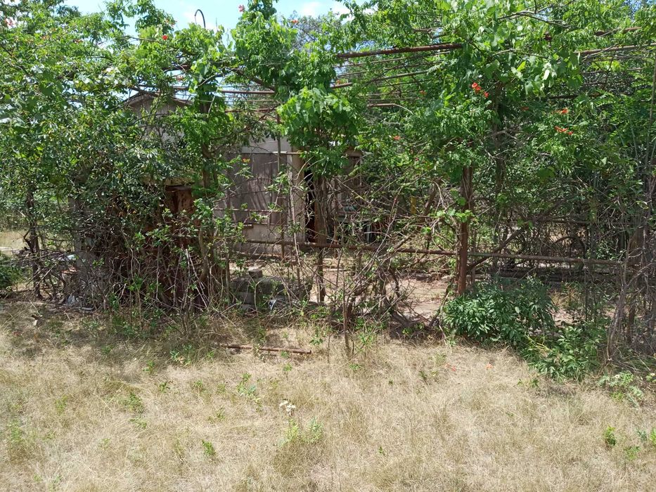 Продаю участок -дачу с. Барабой, кооператив "Альфа"