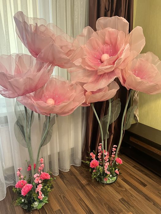 Ростові квіти. Фотозони